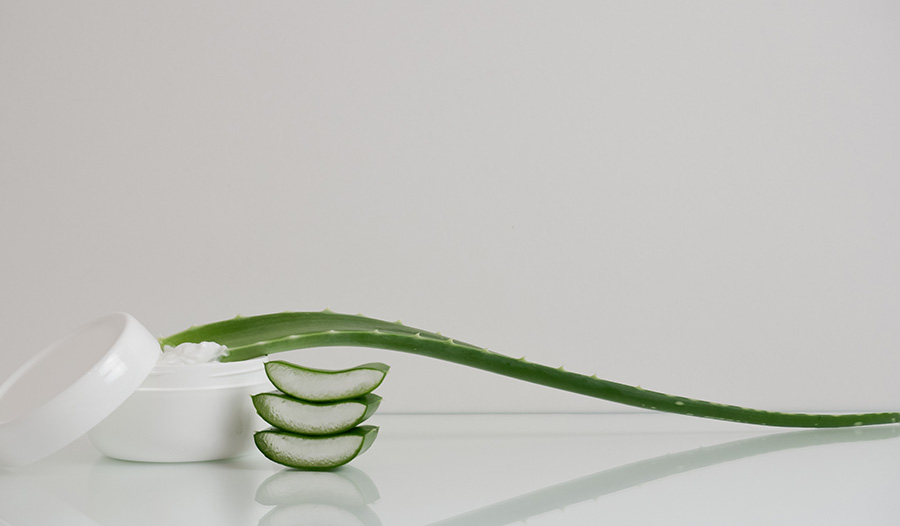 L'aloe vera contre les rides